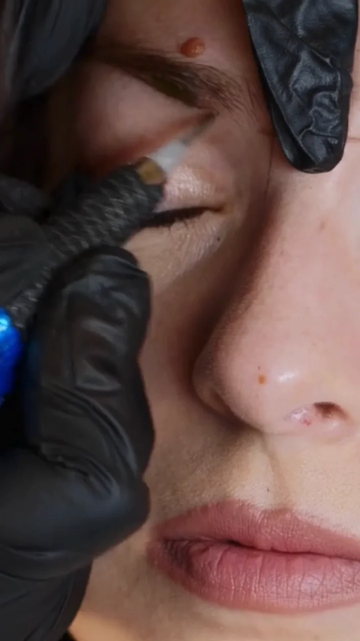 Pretty Ink - Combo Brows Technique.